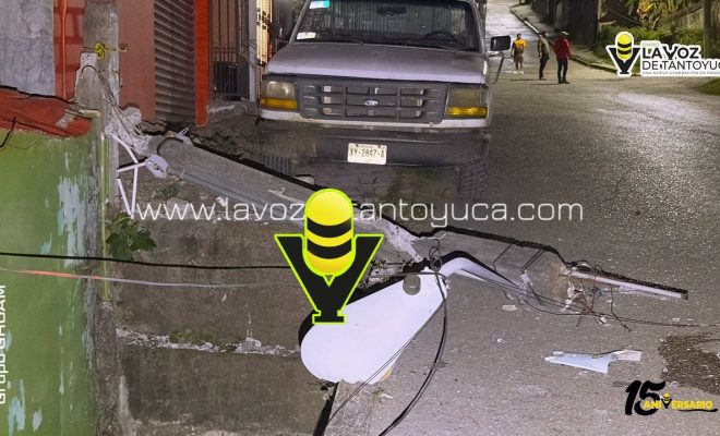 photo_4922720897559366707_y