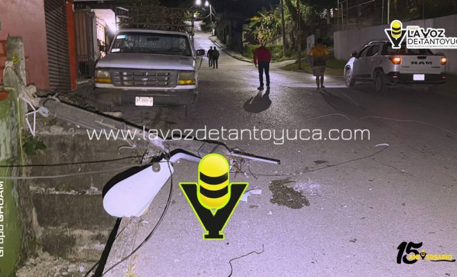 photo_4922720897559366709_y