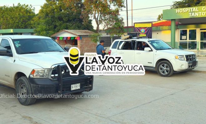 photo_4922863606437710676_y