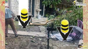 Mujer pierde la vida tras caerle una rama de un árbol en San Sebastián