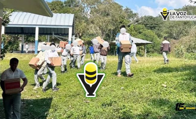 photo_4927119450876611491_y