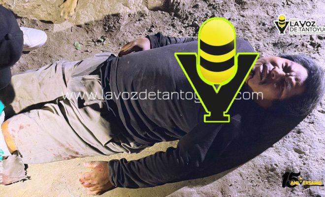 photo_4927241359228341083_y