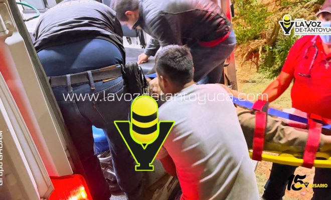 photo_4927241359228341084_y