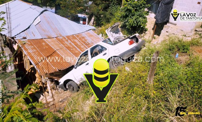 photo_4927241359228341087_y