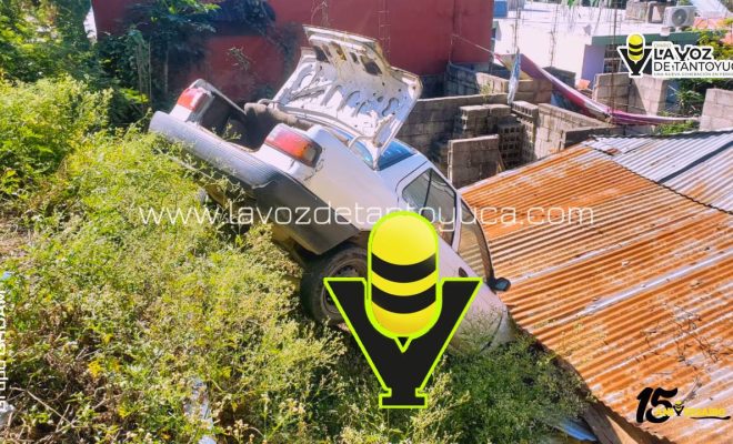 photo_4927241359228341089_y