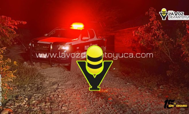 photo_4927241359228341102_y