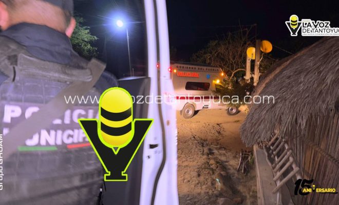 photo_4927241359228341103_y