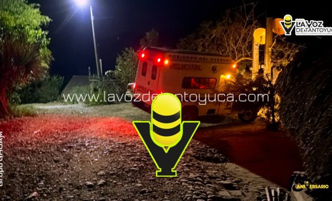 photo_4927241359228341104_y