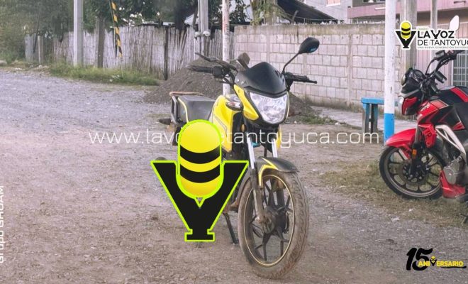 photo_4927241359228341108_y