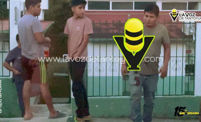 photo_4927241359228341109_y