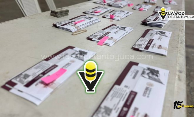 photo_4929371250690296724_y