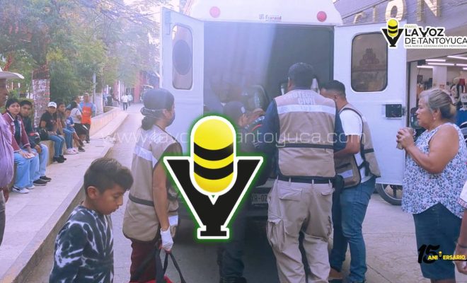 photo_4929371250690296740_y