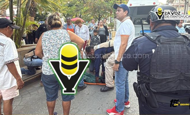 photo_4929371250690296742_y