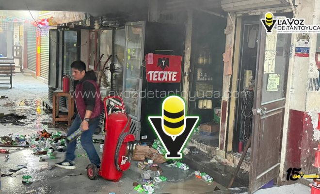 photo_4931543907141618661_y