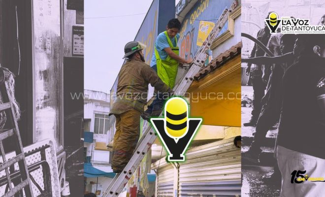 photo_4931543907141618663_y