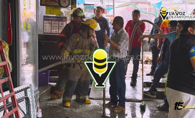 photo_4931543907141618664_y