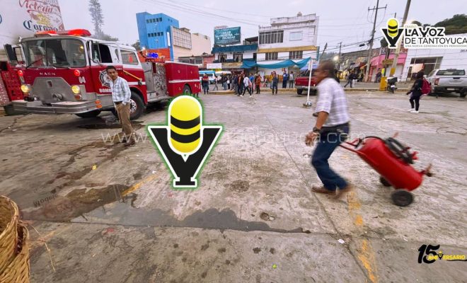 photo_4931543907141618666_y