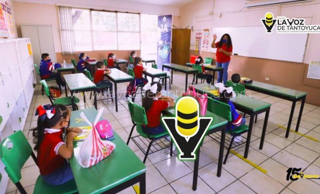 SEP confirma mega puente del 14 al 17 de febrero: solo en estos municipios de Veracruz