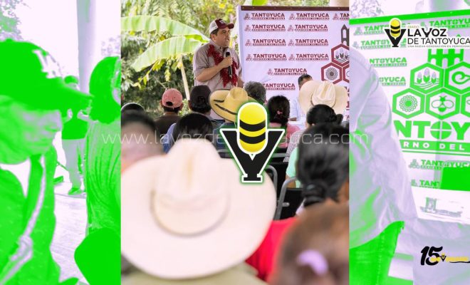 photo_4931543907141618732_y