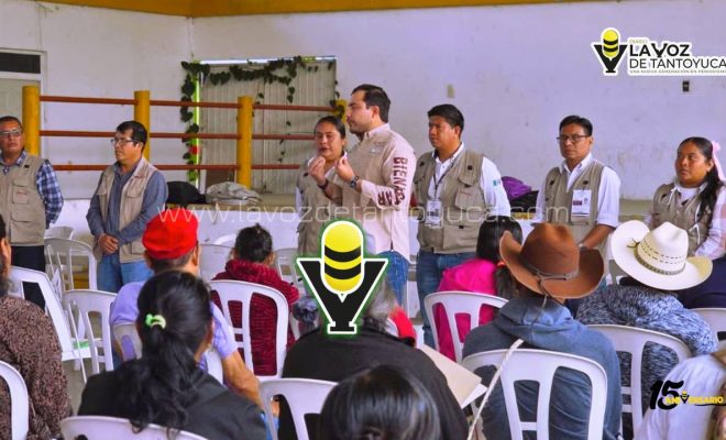 photo_4931543907141618746_y