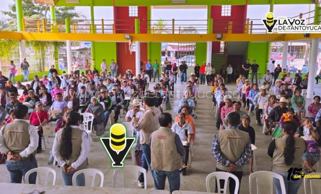 photo_4931543907141618748_y