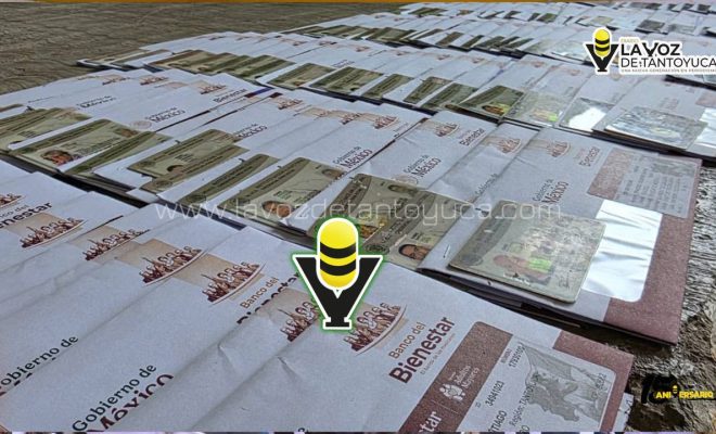 photo_4931543907141618749_y