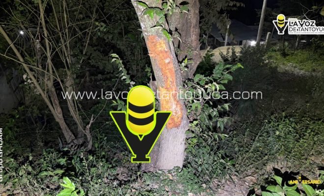 photo_4931881294002588516_y