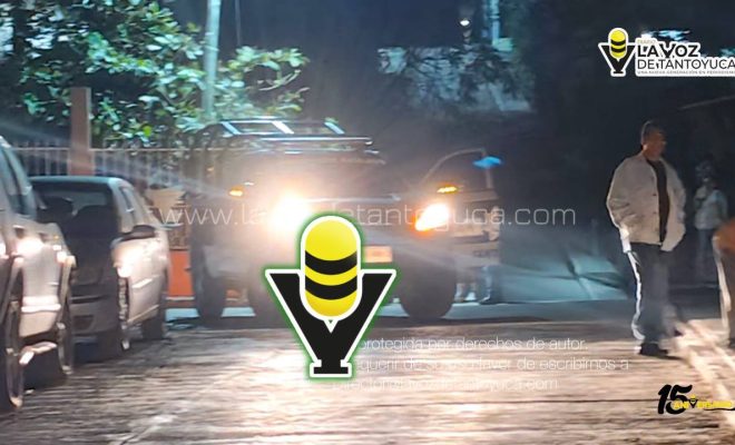 photo_4933795706955303882_y