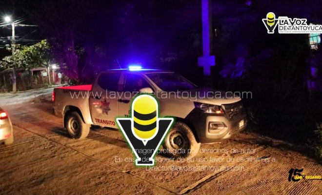 photo_4933795706955303884_y