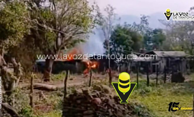 photo_4936079293821946855_y