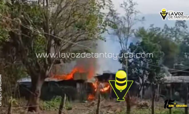 photo_4936079293821946856_y