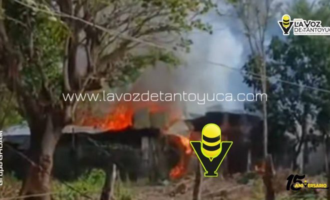 photo_4936079293821946857_y