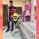 Capturan serpiente en el Panteón Municipal de Platón Sánchez