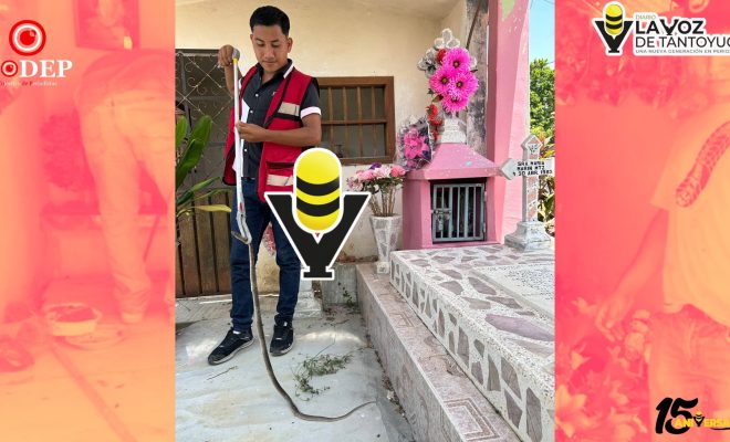 Capturan serpiente en el Panteón Municipal de Platón Sánchez