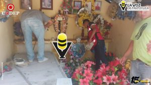 Capturan serpiente en el Panteón Municipal de Platón Sánchez