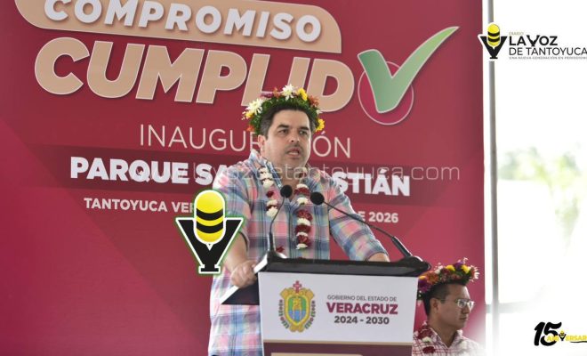 photo_4938665615753415711_y