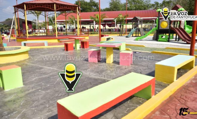 photo_4938665615753415713_y