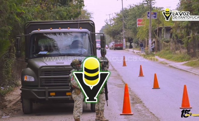 photo_4938665615753415747_y