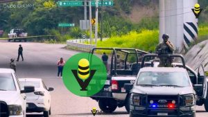 FGE inicia carpeta de investigación por hallazgo de elementos anatómicos humanos en Papantla