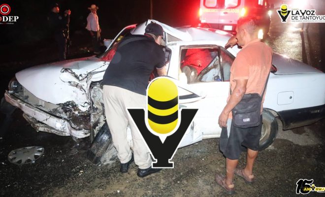 photo_4940565030680333310_y