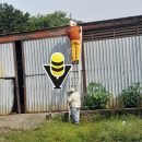 Seis personas, incluida una menor, resultan lesionadas por ataque de abejas en Huejutla