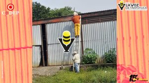 Seis personas, incluida una menor, resultan lesionadas por ataque de abejas en Huejutla