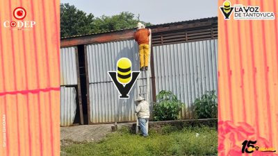 Seis personas, incluida una menor, resultan lesionadas por ataque de abejas en Huejutla