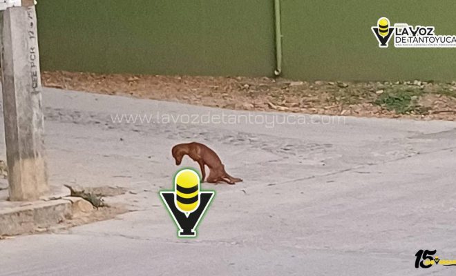 photo_4940698728717290354_y