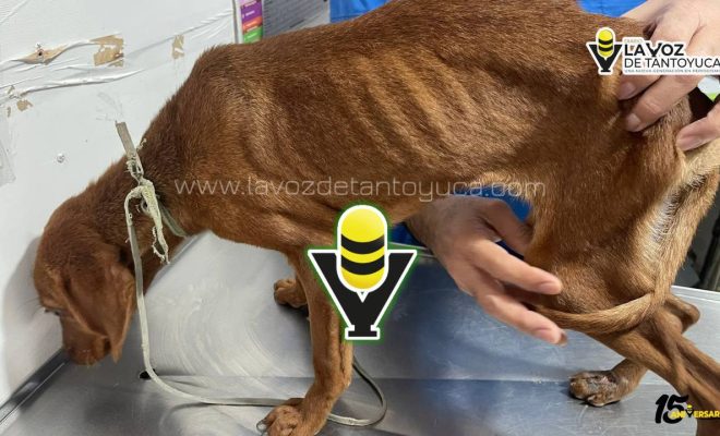 photo_4940698728717290355_y