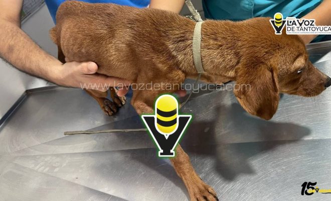 photo_4940698728717290356_y