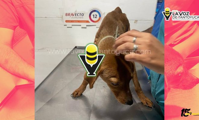 photo_4940698728717290357_y