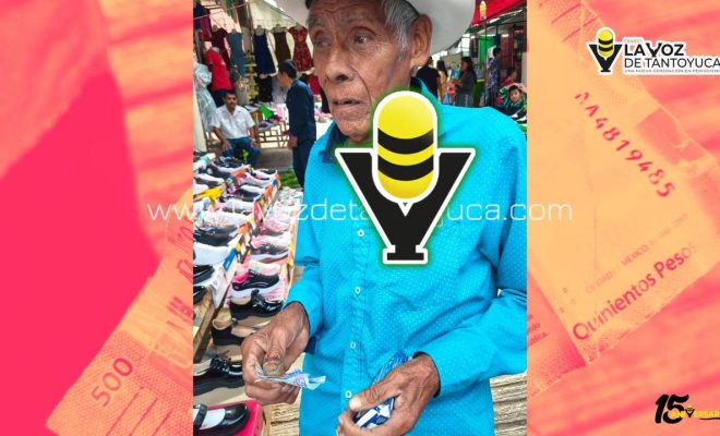 photo_4940698728717290378_y