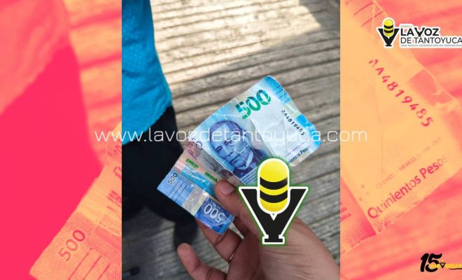 photo_4940698728717290379_y