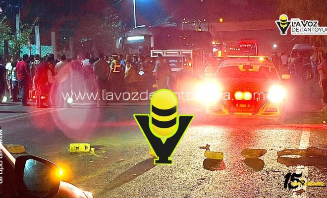 photo_4942988410142526329_y